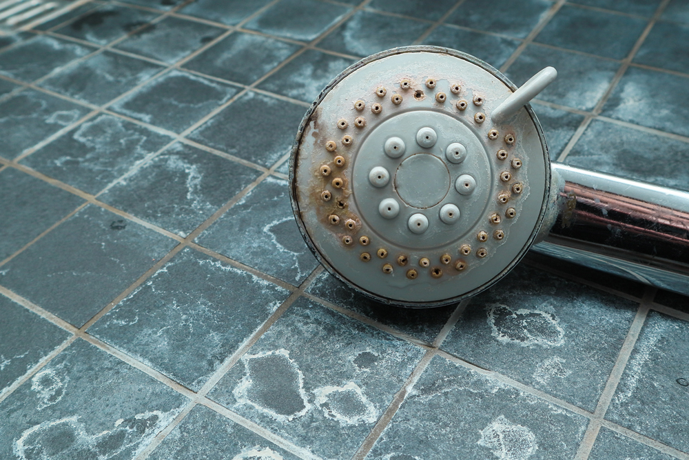 hardness scale and soap scum on shower head